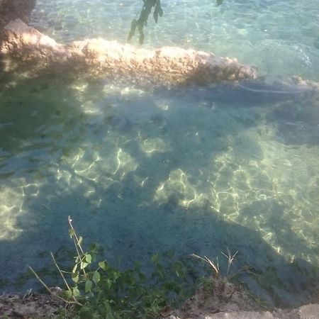 Blue Monkey Beach Cottages Shimoni Dış mekan fotoğraf