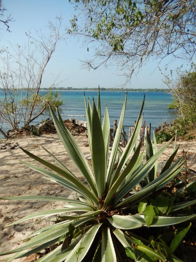 Blue Monkey Beach Cottages Shimoni Dış mekan fotoğraf