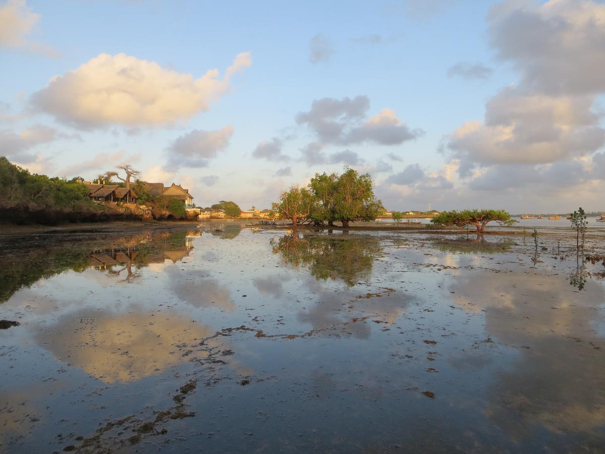 Blue Monkey Beach Cottages Shimoni Dış mekan fotoğraf