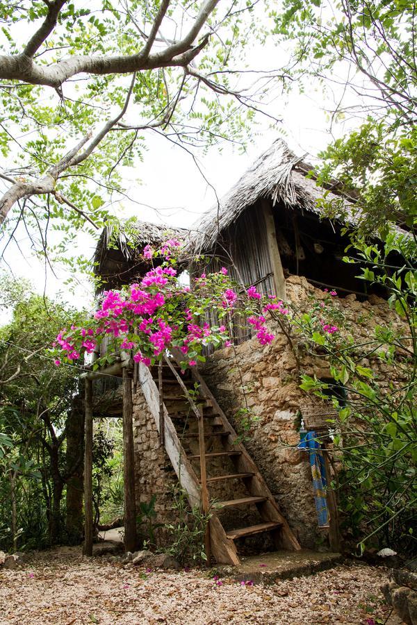 Blue Monkey Beach Cottages Shimoni Dış mekan fotoğraf