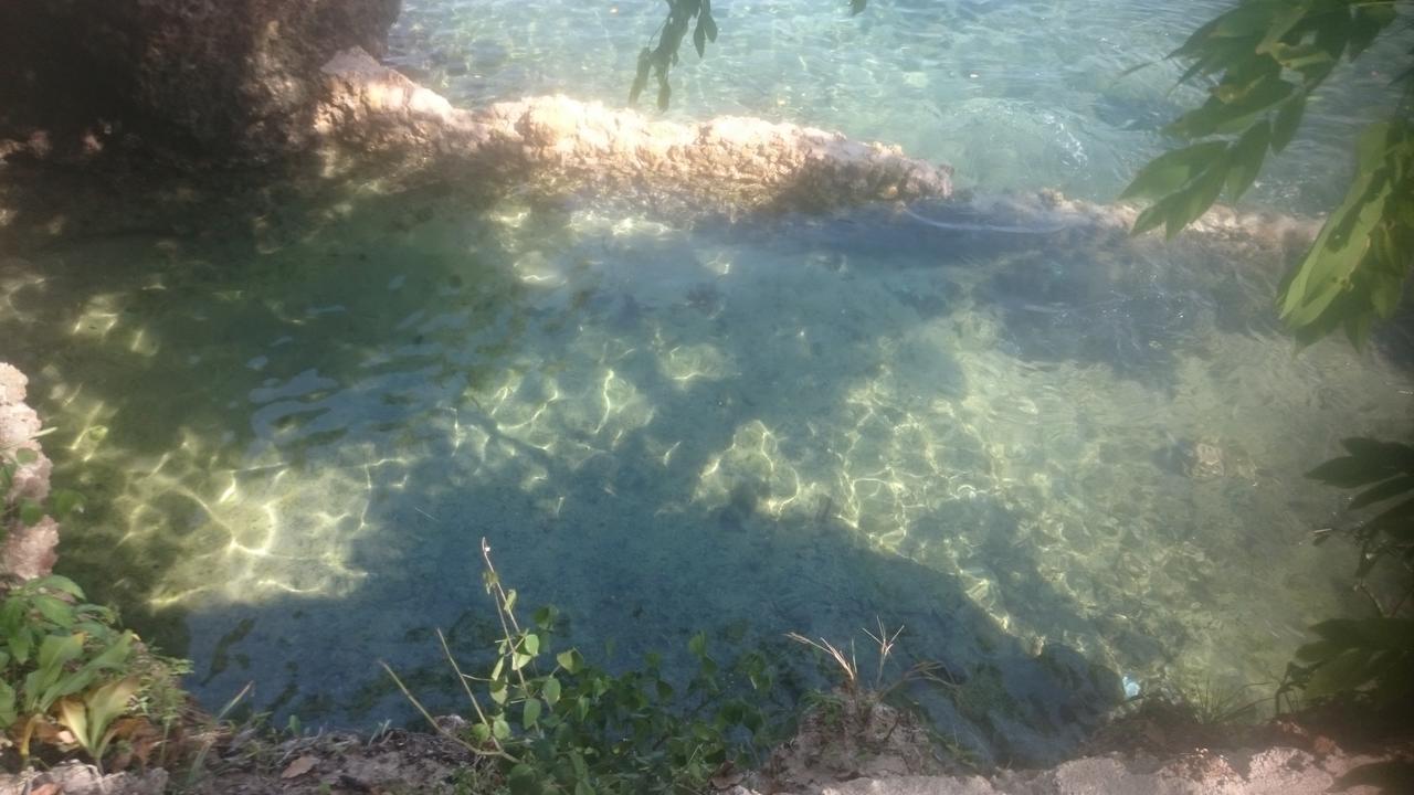 Blue Monkey Beach Cottages Shimoni Dış mekan fotoğraf